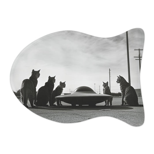 Feline Close Encounters Feeding Mat