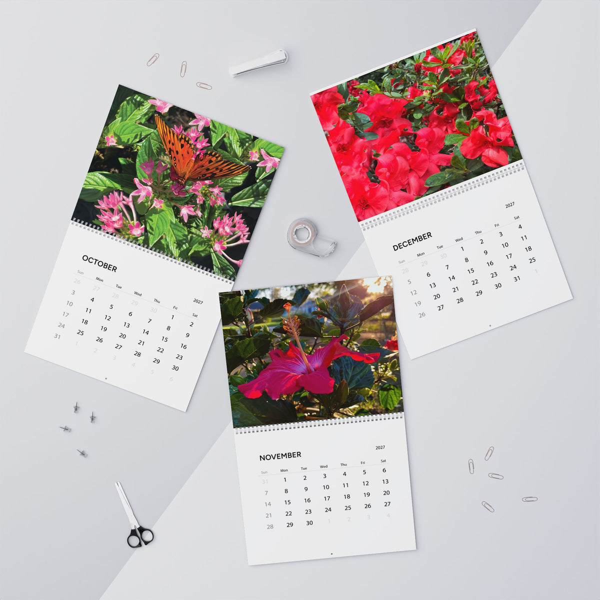 Savannah Seasons: A Year in Bloom 2027 Calendar