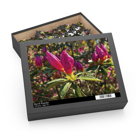 Bonaventure Awakening Puzzle