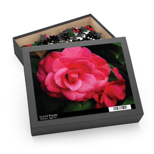 Winter's Rose Puzzle