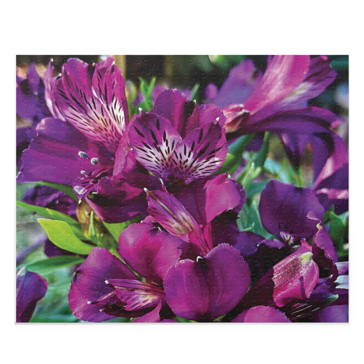 Violet Reverie Puzzle