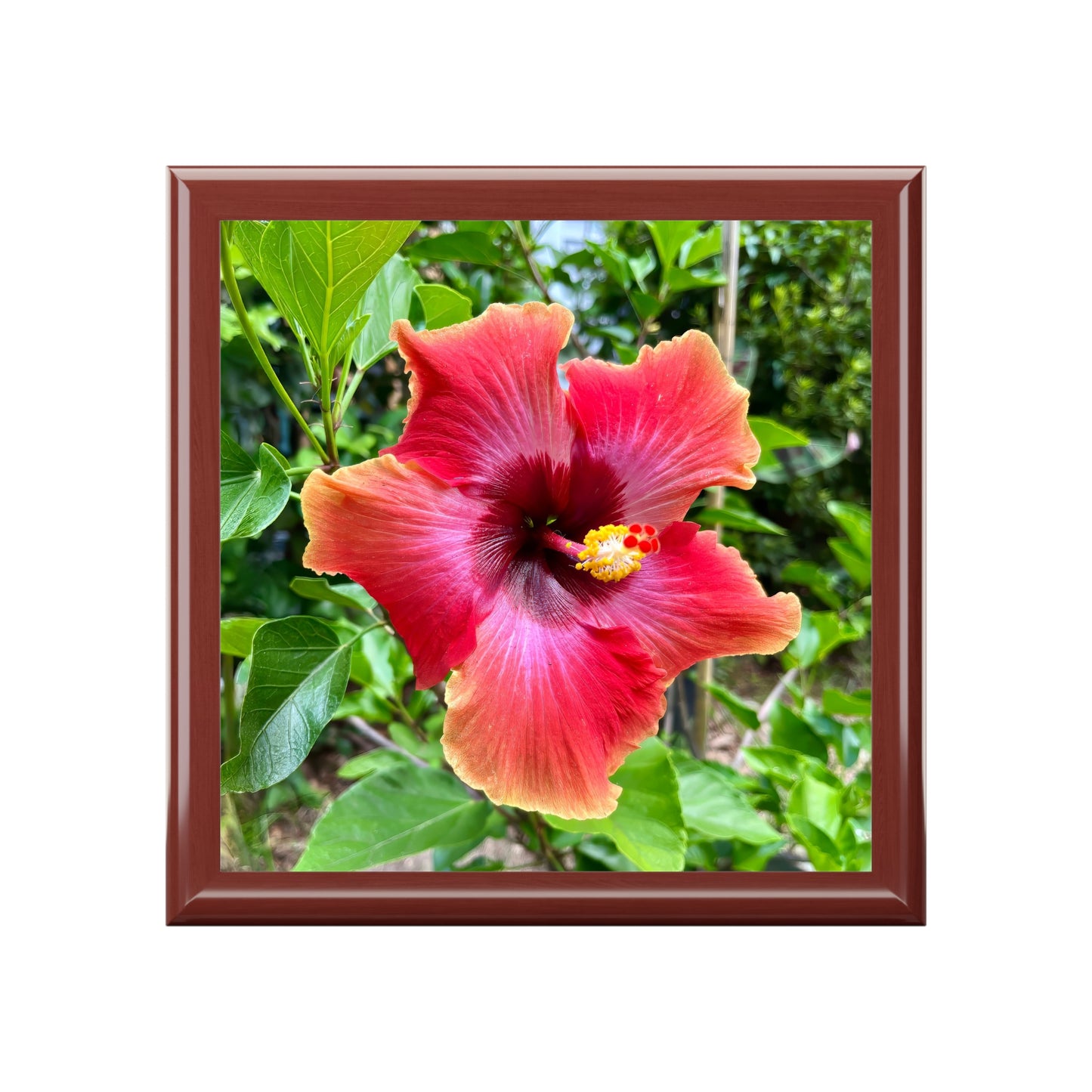 Savannah Summer Hibiscus Jewelry & Keepsake Box