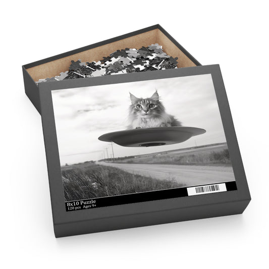 Frankie's Close Encounter Puzzle