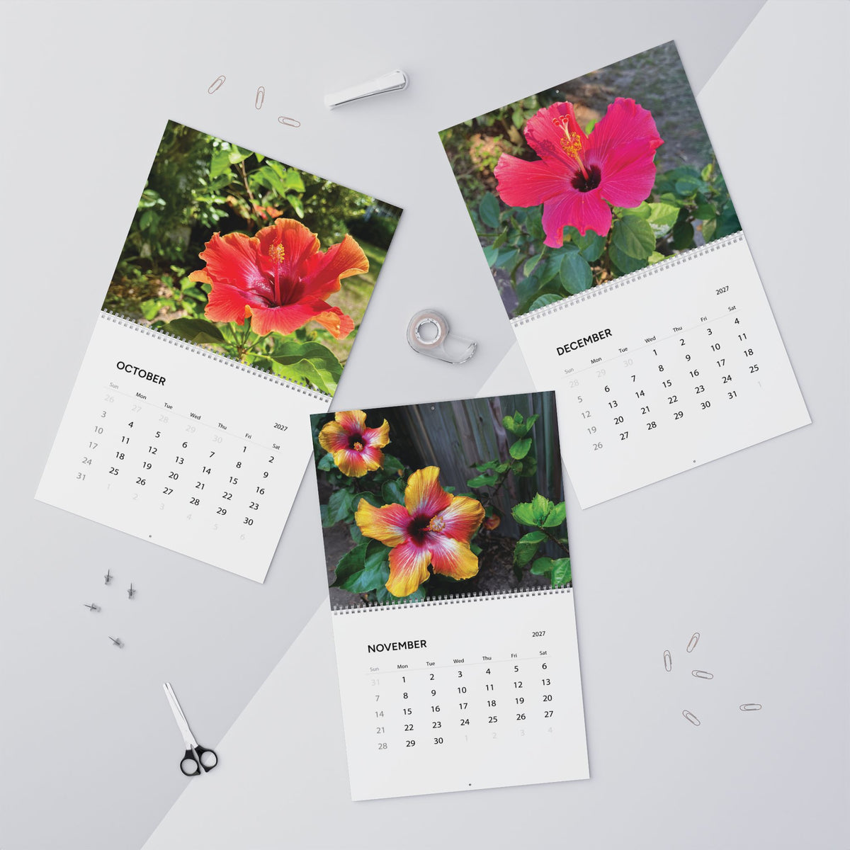 Hibiscus in Bloom 2027 Calendar