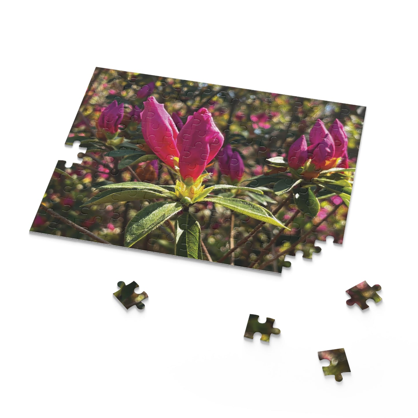 Bonaventure Awakening Puzzle
