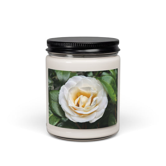 Winter's Pearl Candle