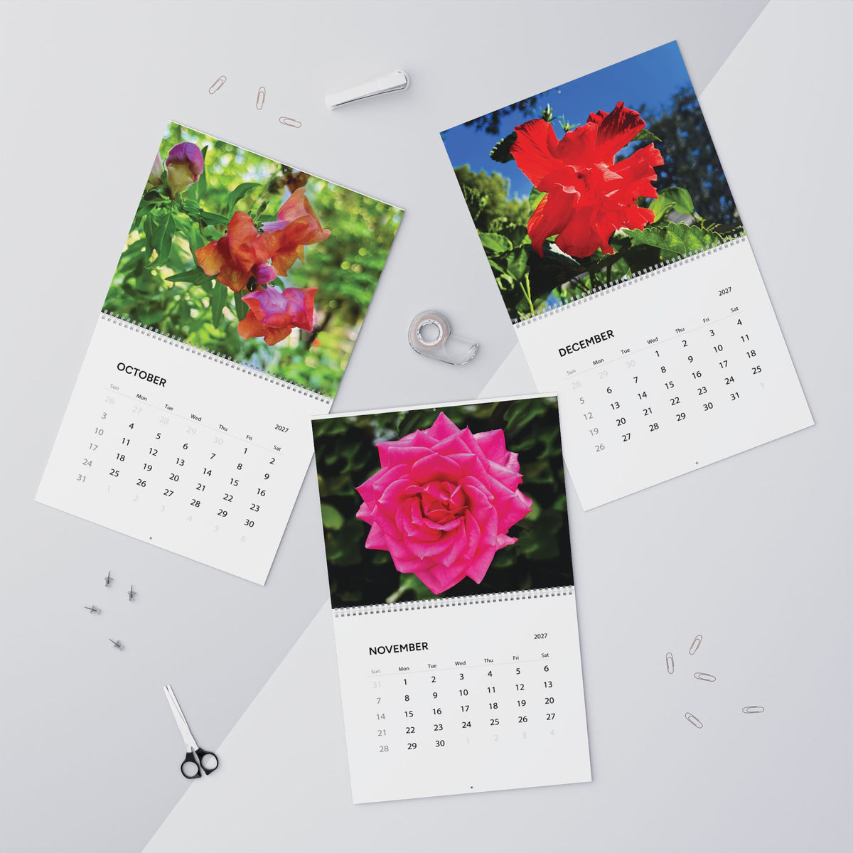 Savannah Seasons: Garden in Bloom 2027 Calendar