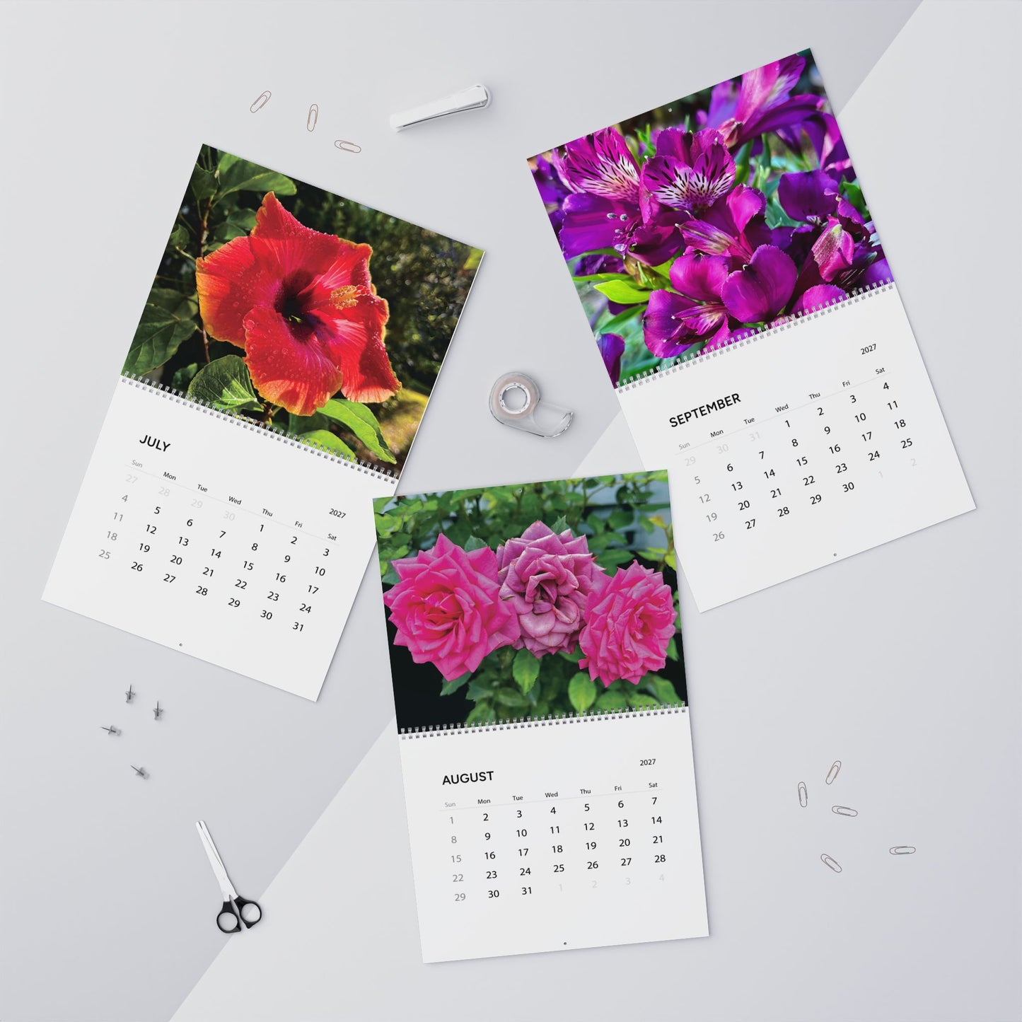 Savannah Seasons: A Year in Bloom 2027 Calendar