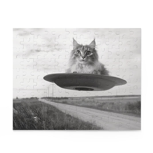 Frankie's Close Encounter Puzzle