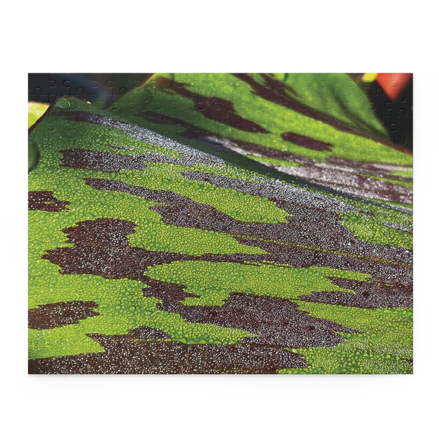 Nature's Glitter Puzzle