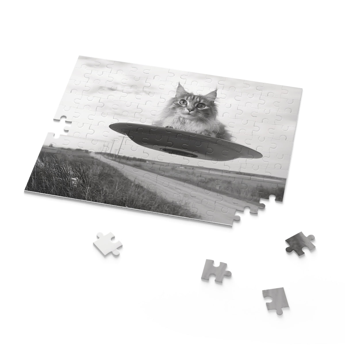 Frankie's Close Encounter Puzzle