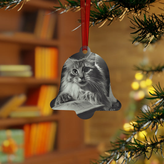 Cat Snatcher UFO