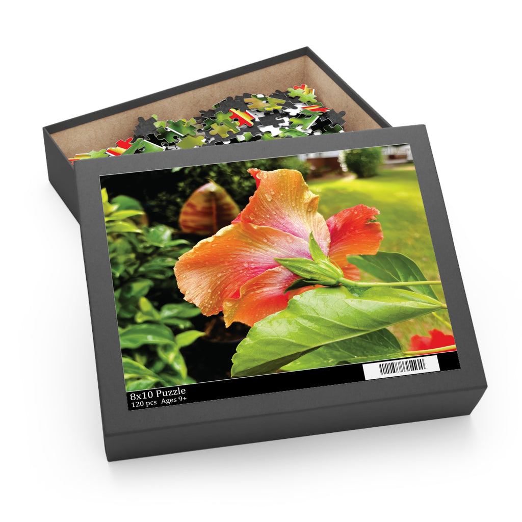 Bloomin' in the Rain