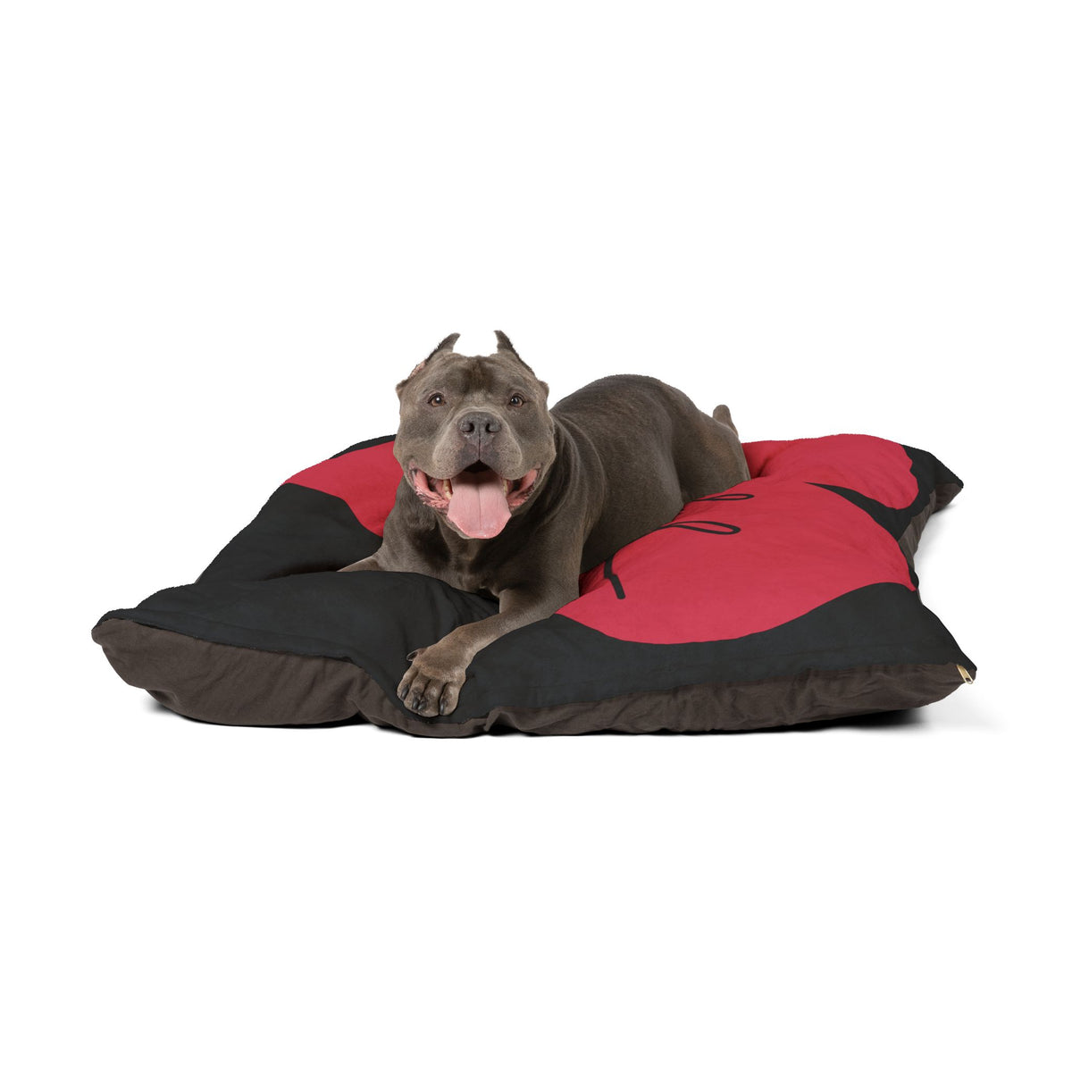 Heart of Joy Pet Pillow