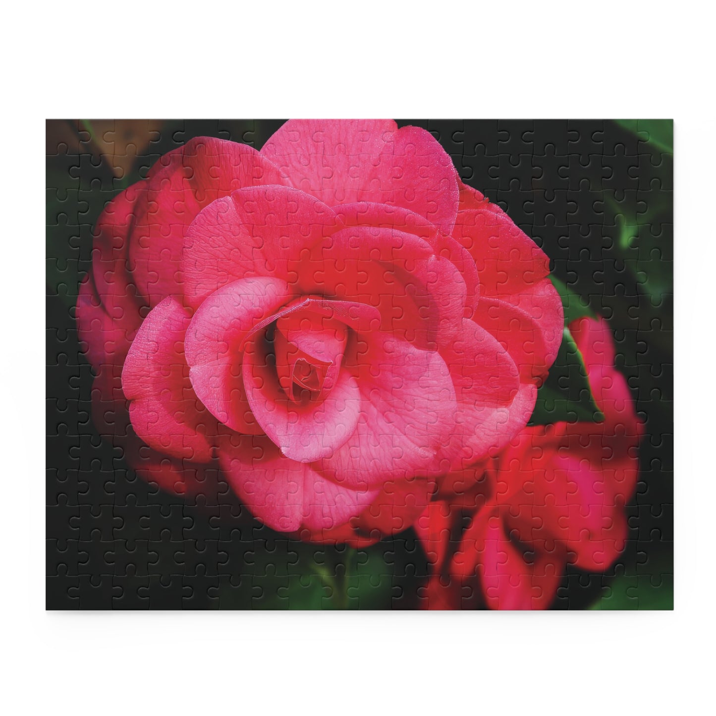 Winter's Rose Puzzle