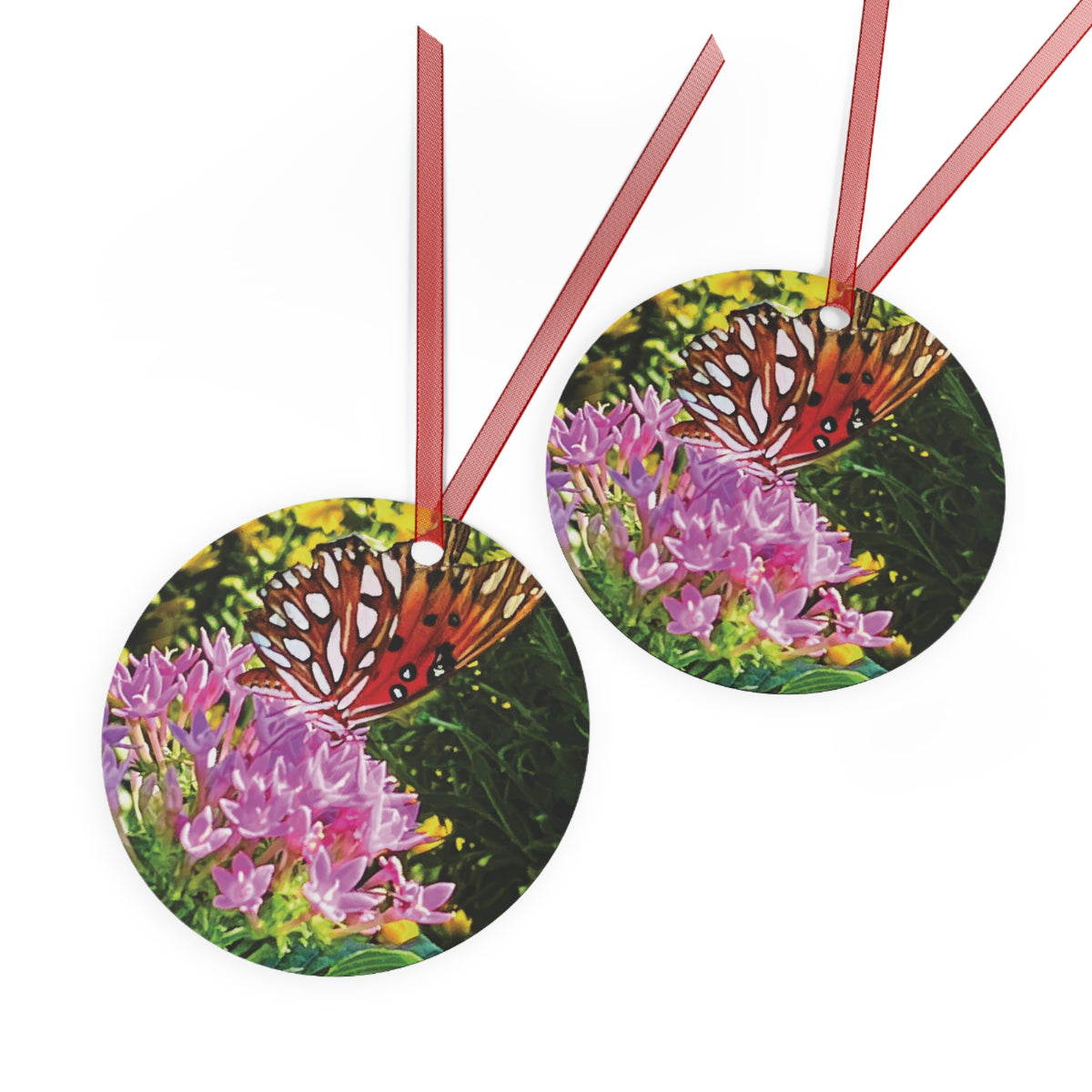 Butterfly Blooms