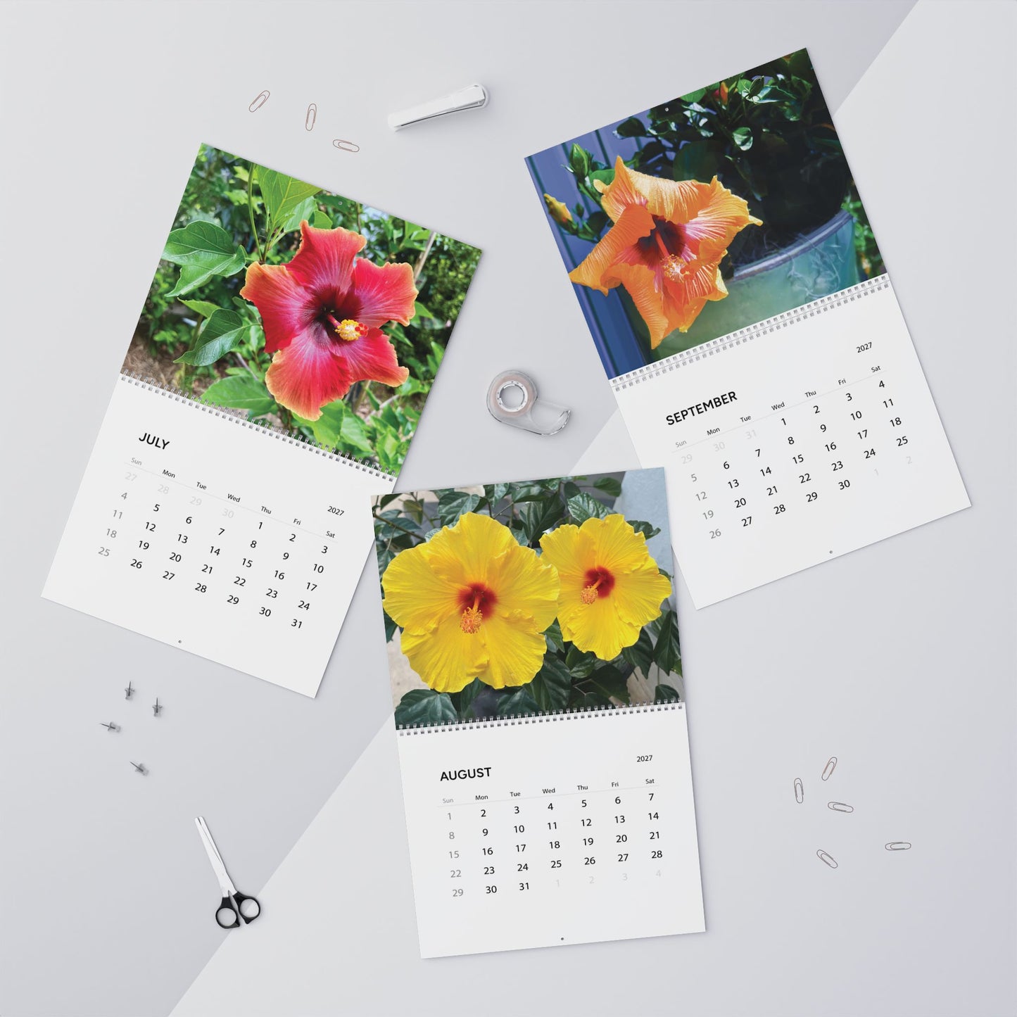 Hibiscus in Bloom 2027 Calendar