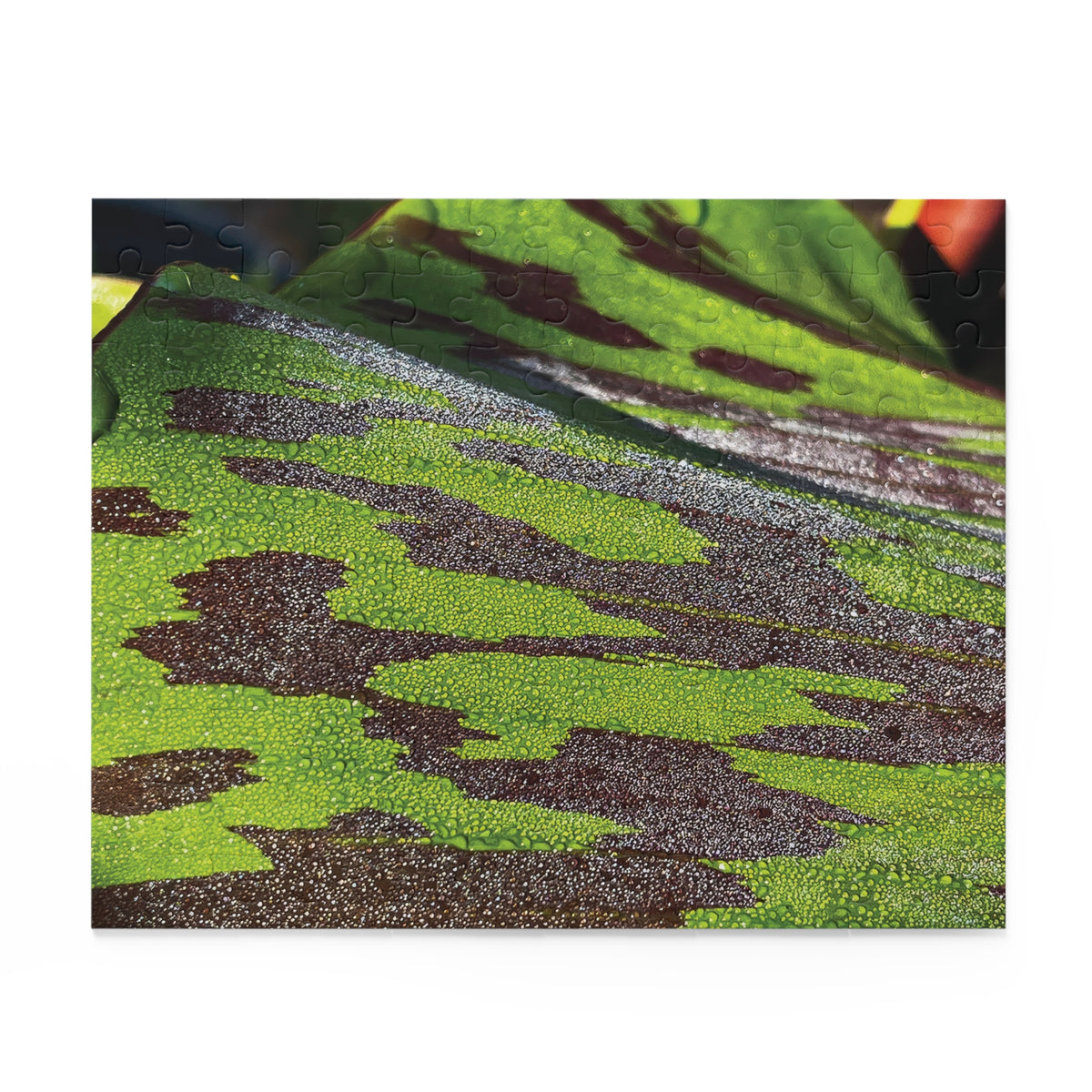 Nature's Glitter Puzzle