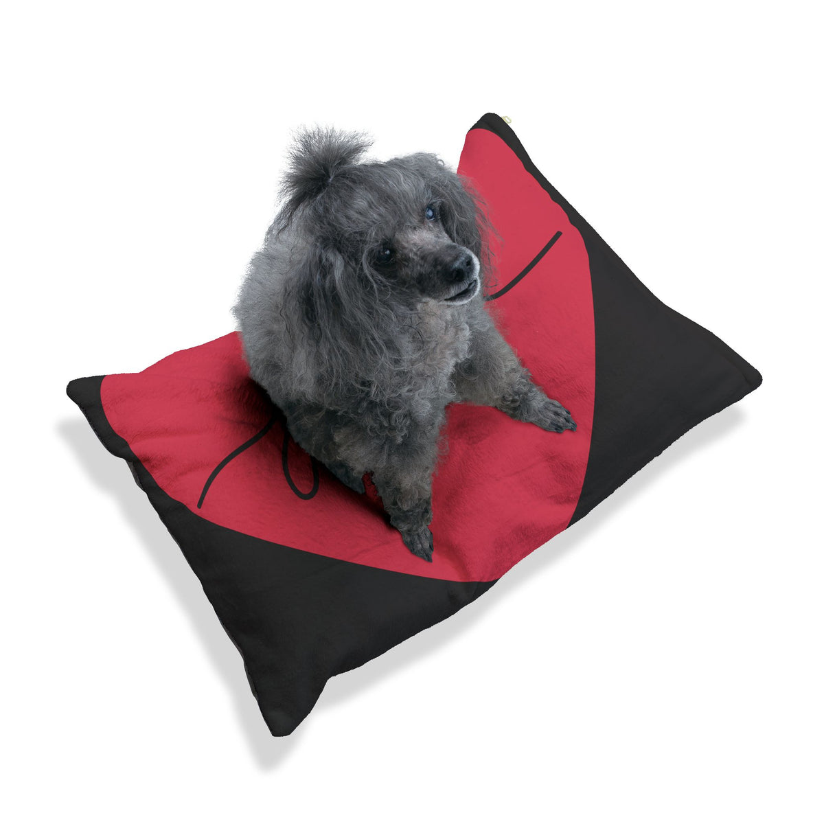 Heart of Joy Pet Pillow