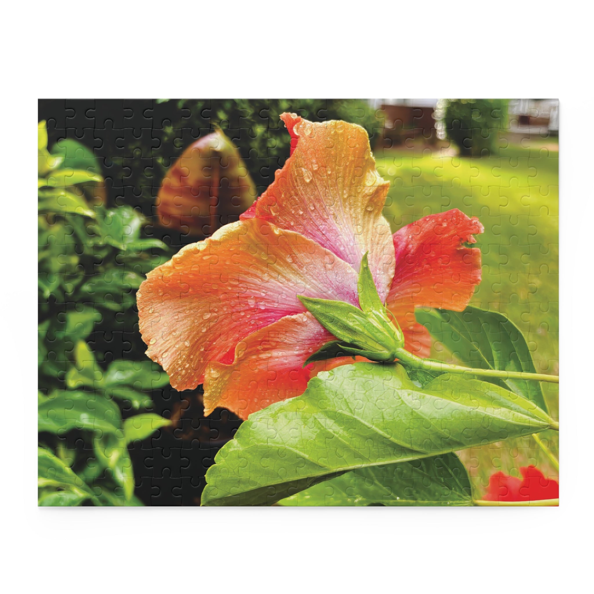 Bloomin' in the Rain