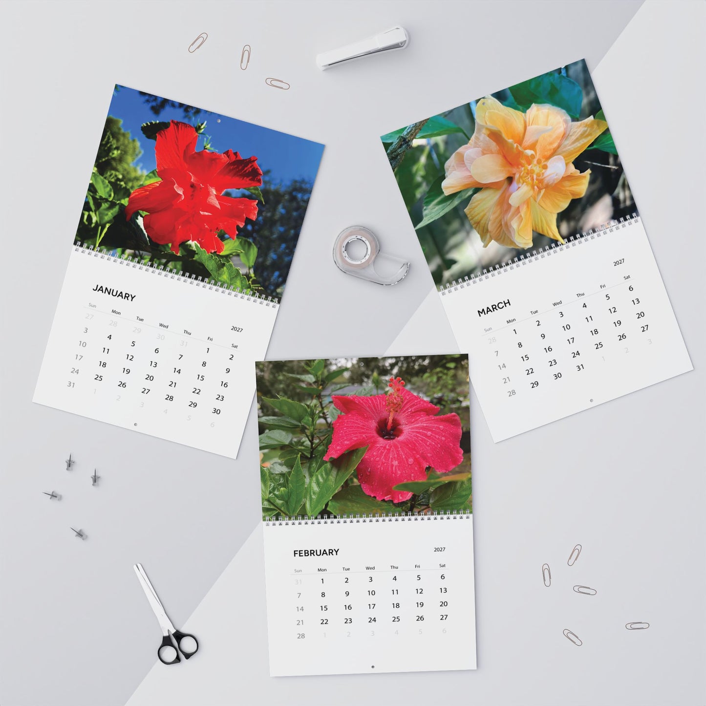 Hibiscus in Bloom 2027 Calendar