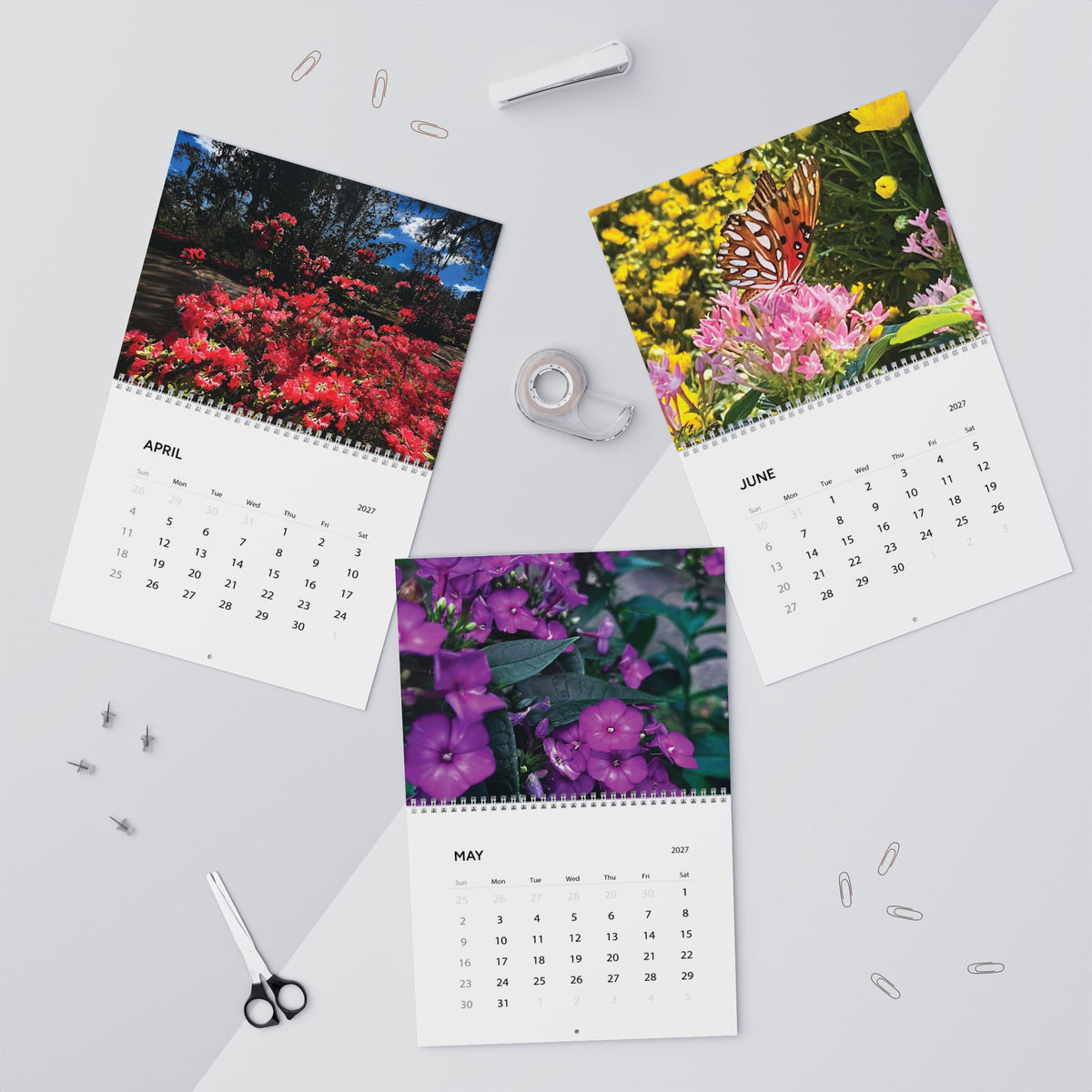 Savannah Seasons: A Year in Bloom 2027 Calendar