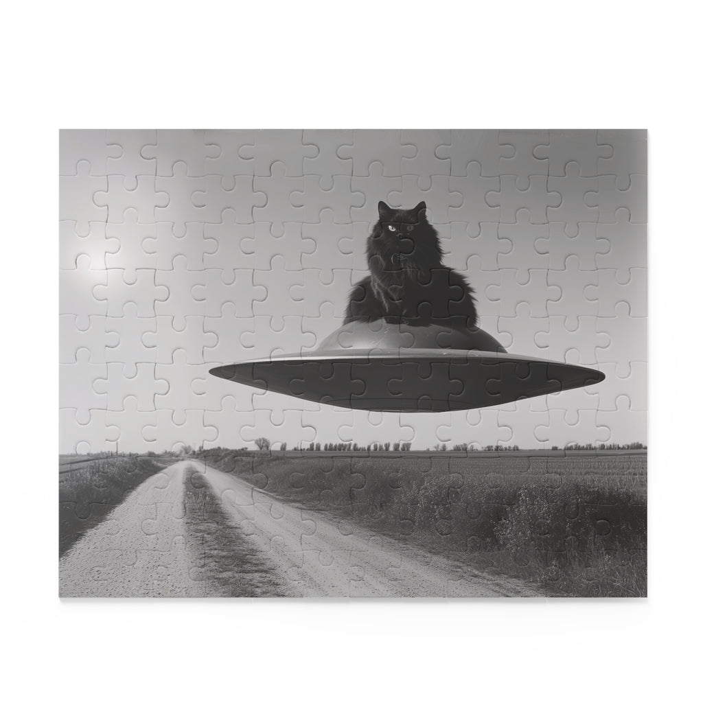 Black Cat Flying Saucer