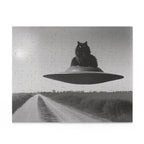 Black Cat Flying Saucer