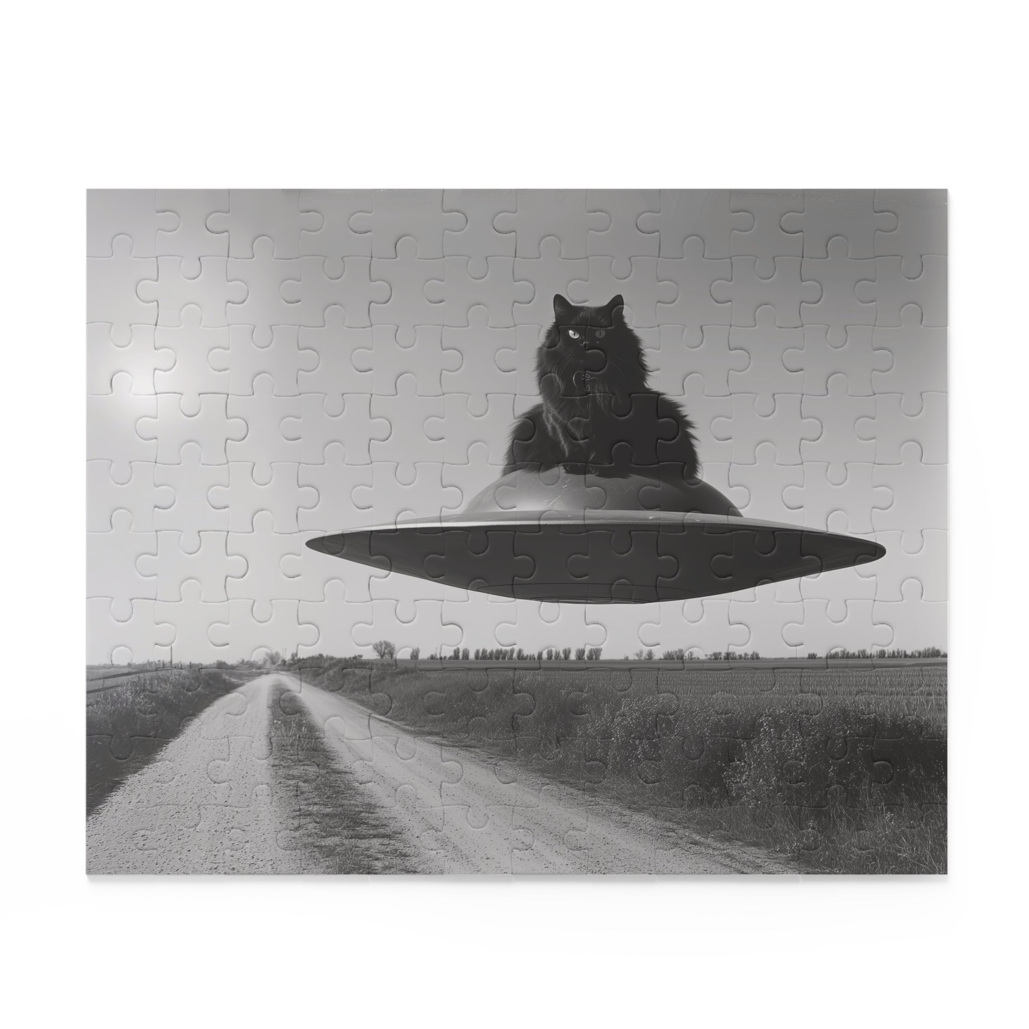 Black Cat Flying Saucer