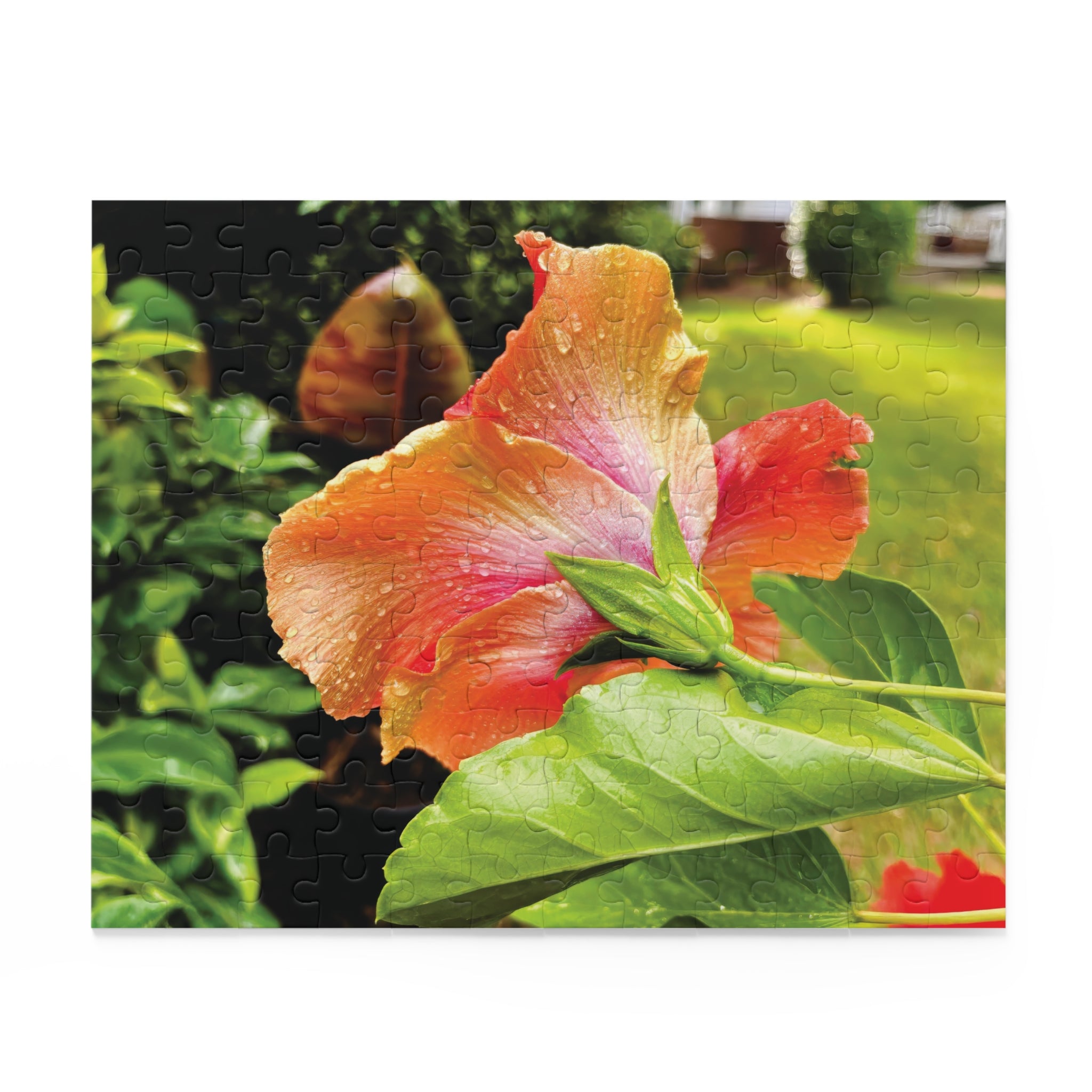 Bloomin' in the Rain