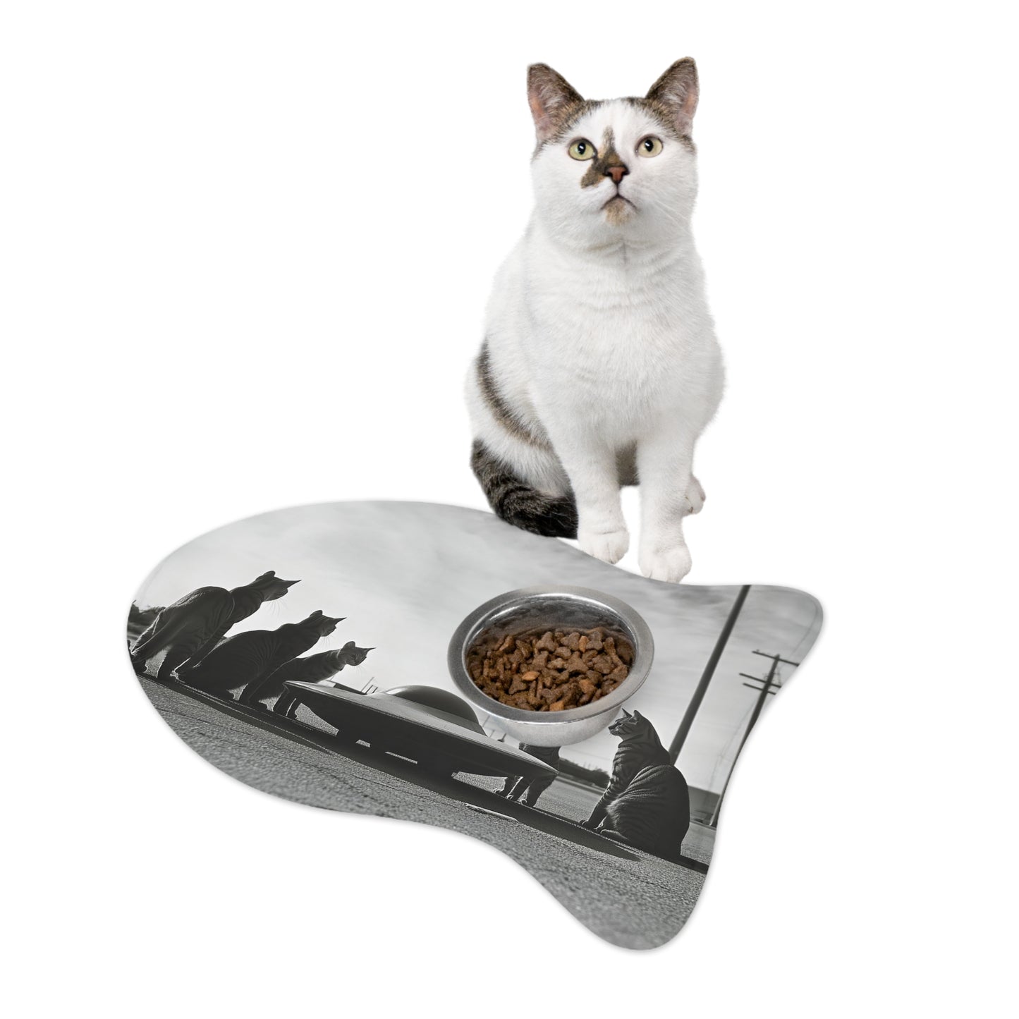 Feline Close Encounters Feeding Mat