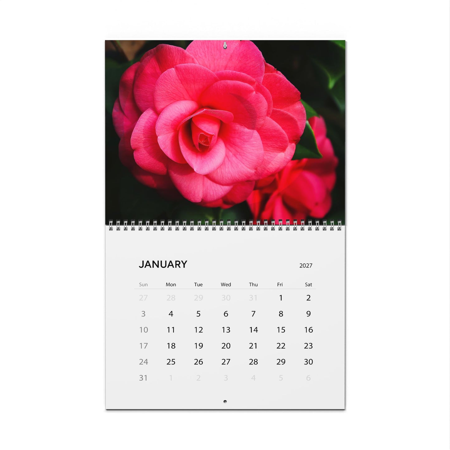 Savannah Seasons: A Year in Bloom 2027 Calendar
