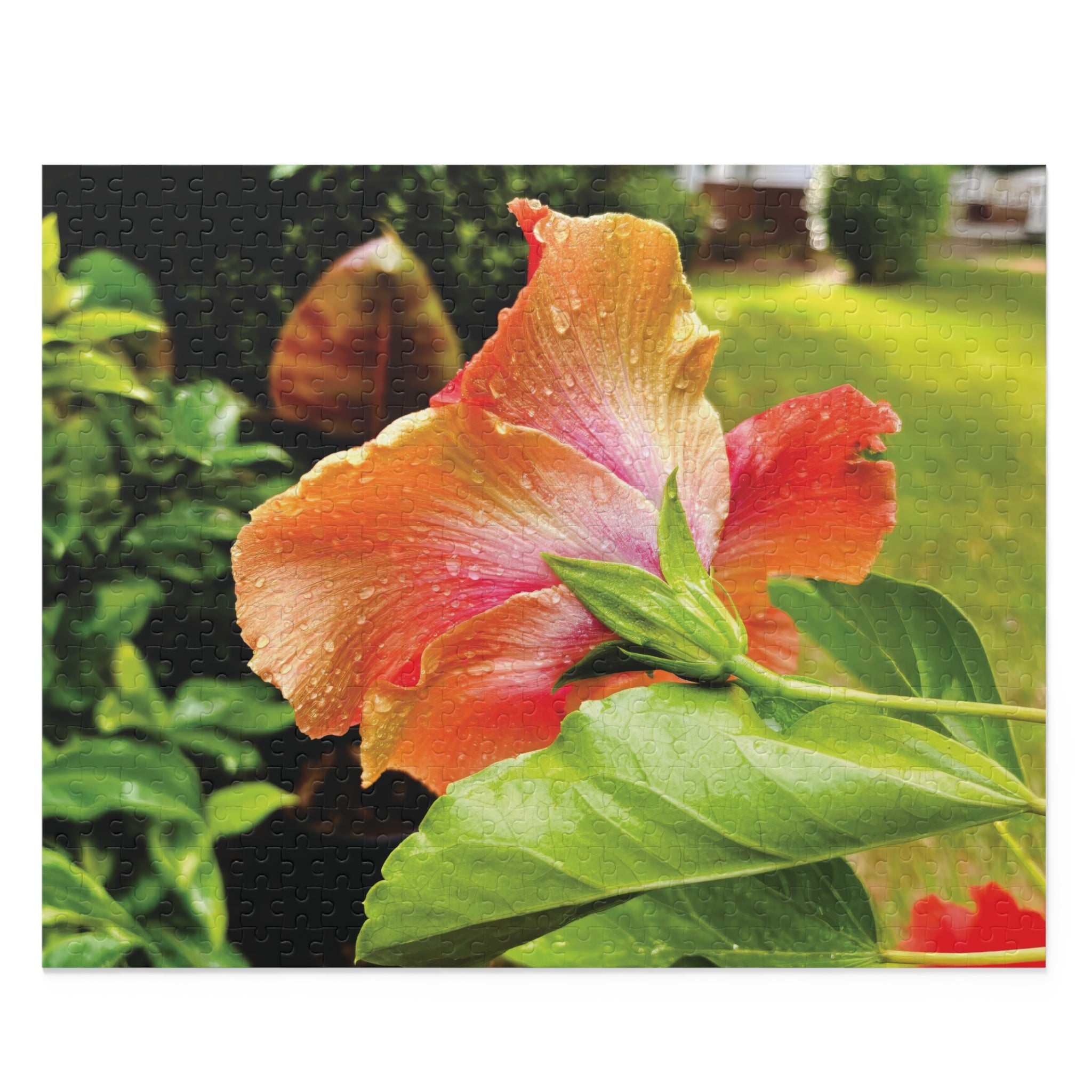 Bloomin' in the Rain