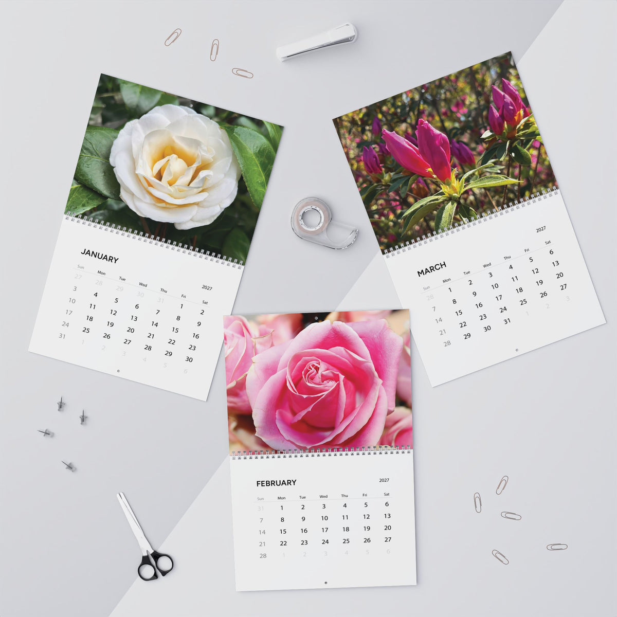 Savannah Seasons: Garden in Bloom 2027 Calendar