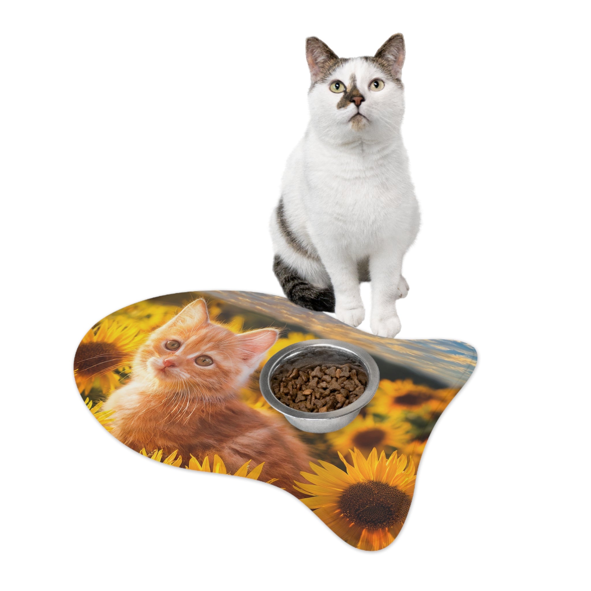Orange Kitten Feeding Mat