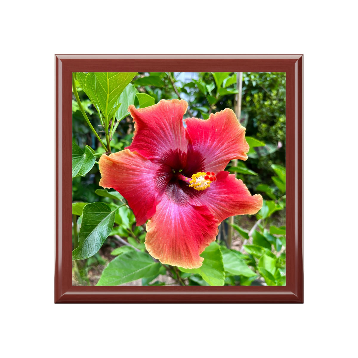 Savannah Summer Hibiscus Jewelry & Keepsake Box