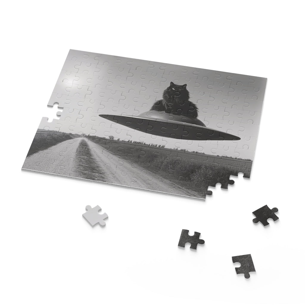 Black Cat Flying Saucer