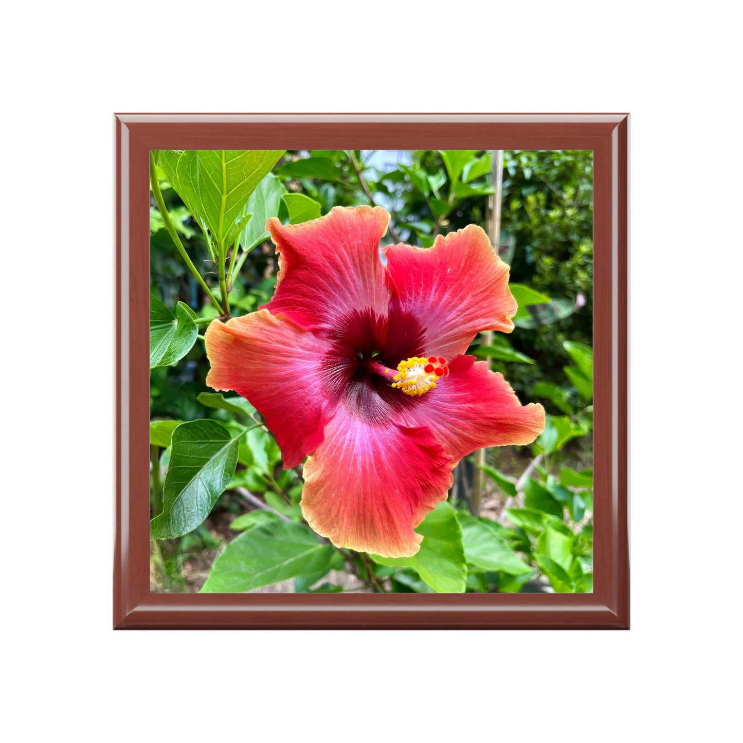 Savannah Summer Hibiscus Jewelry & Keepsake Box