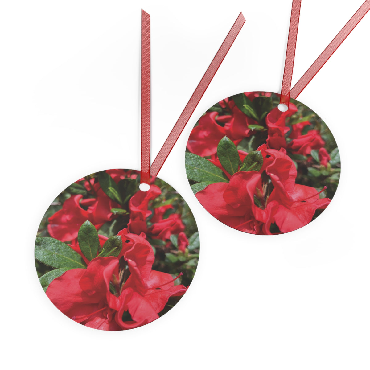Azaleas