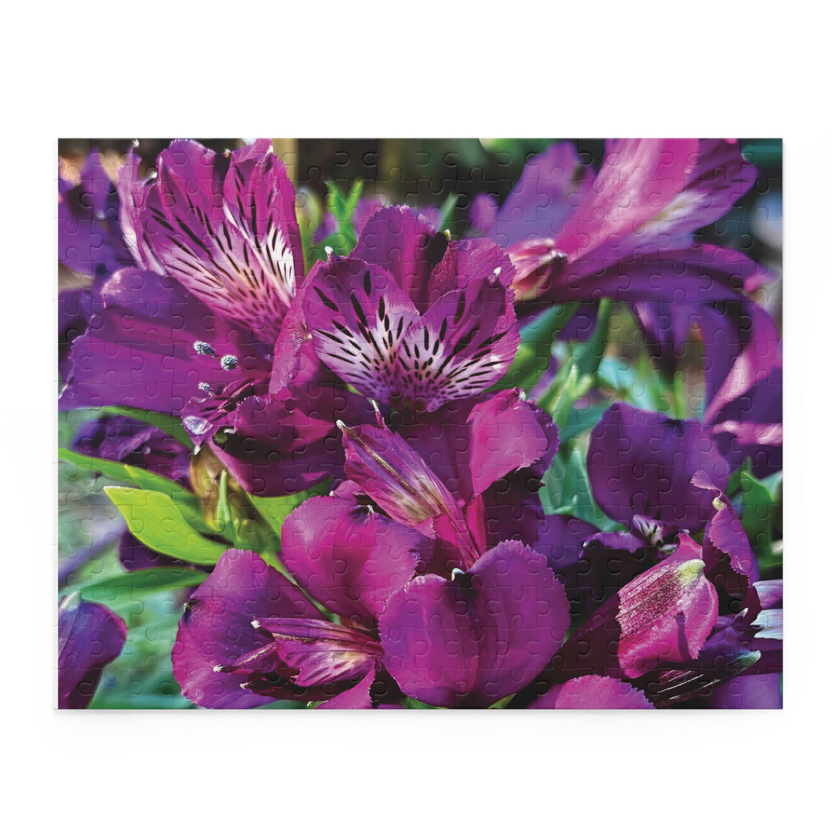 Violet Reverie Puzzle