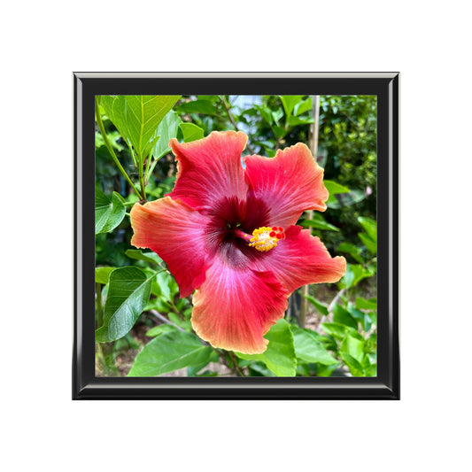 Framed photograph of a pink and red flower with green leaves.