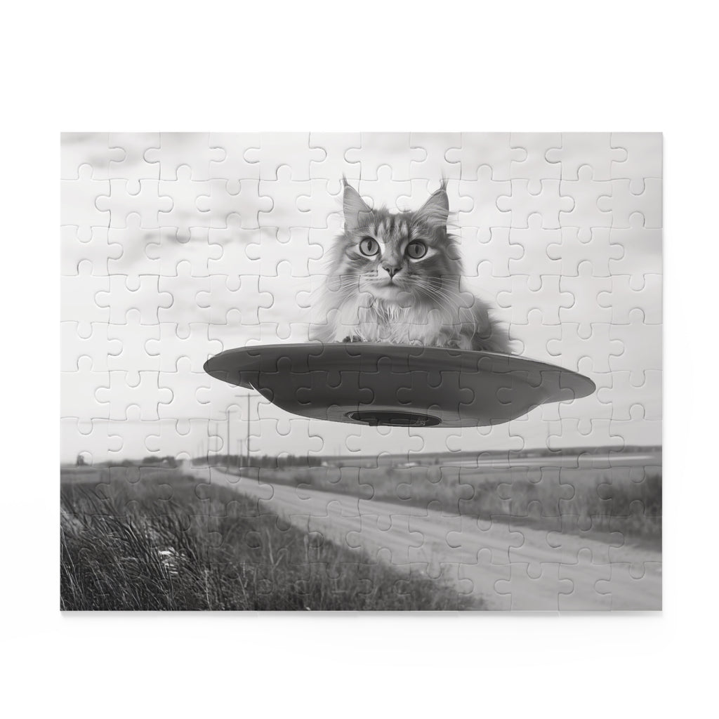 Cat Saucer 1