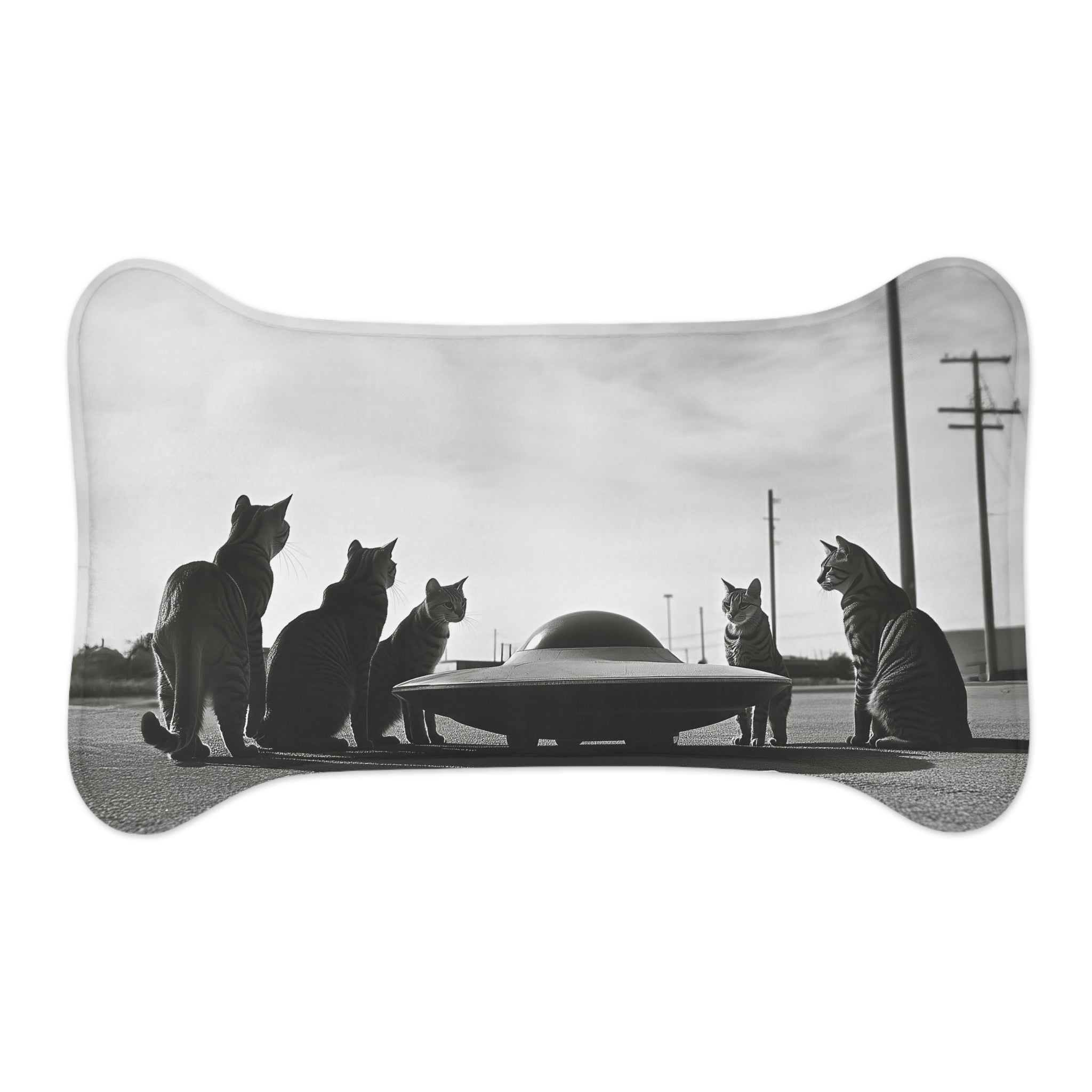 UFO Encounters Feeding Mat