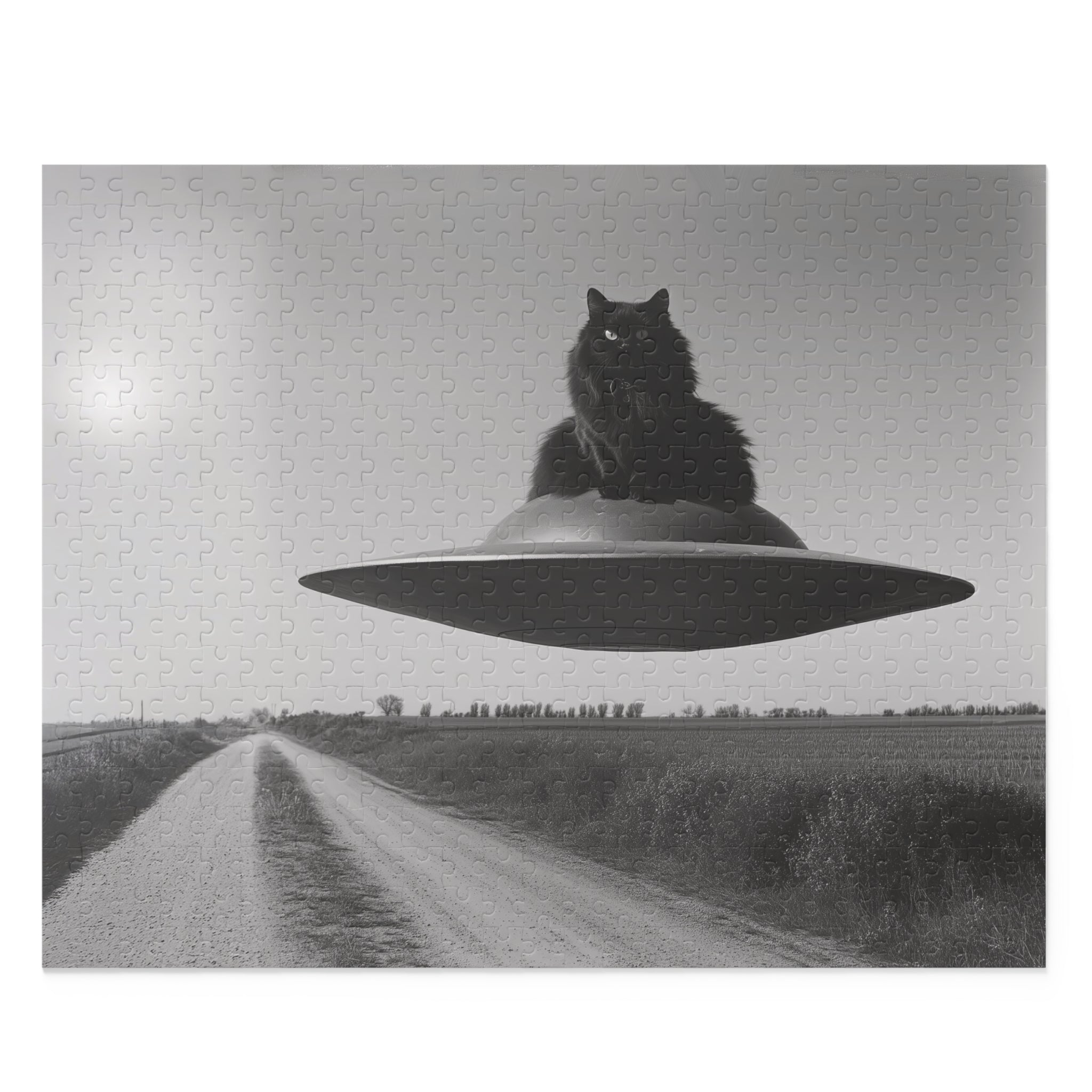 Black Cat Flying Saucer