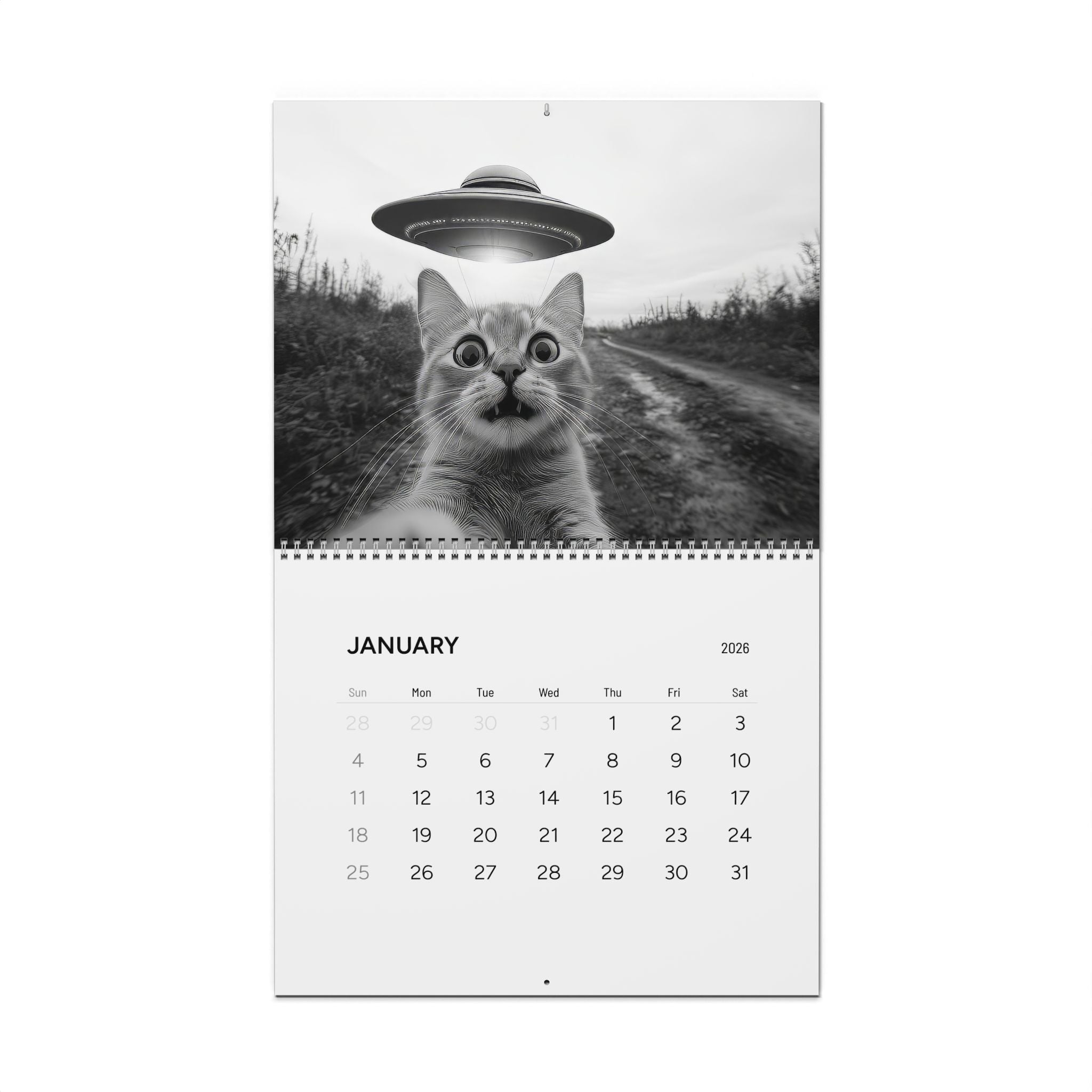 Cosmic Cat Snatchers Calendar