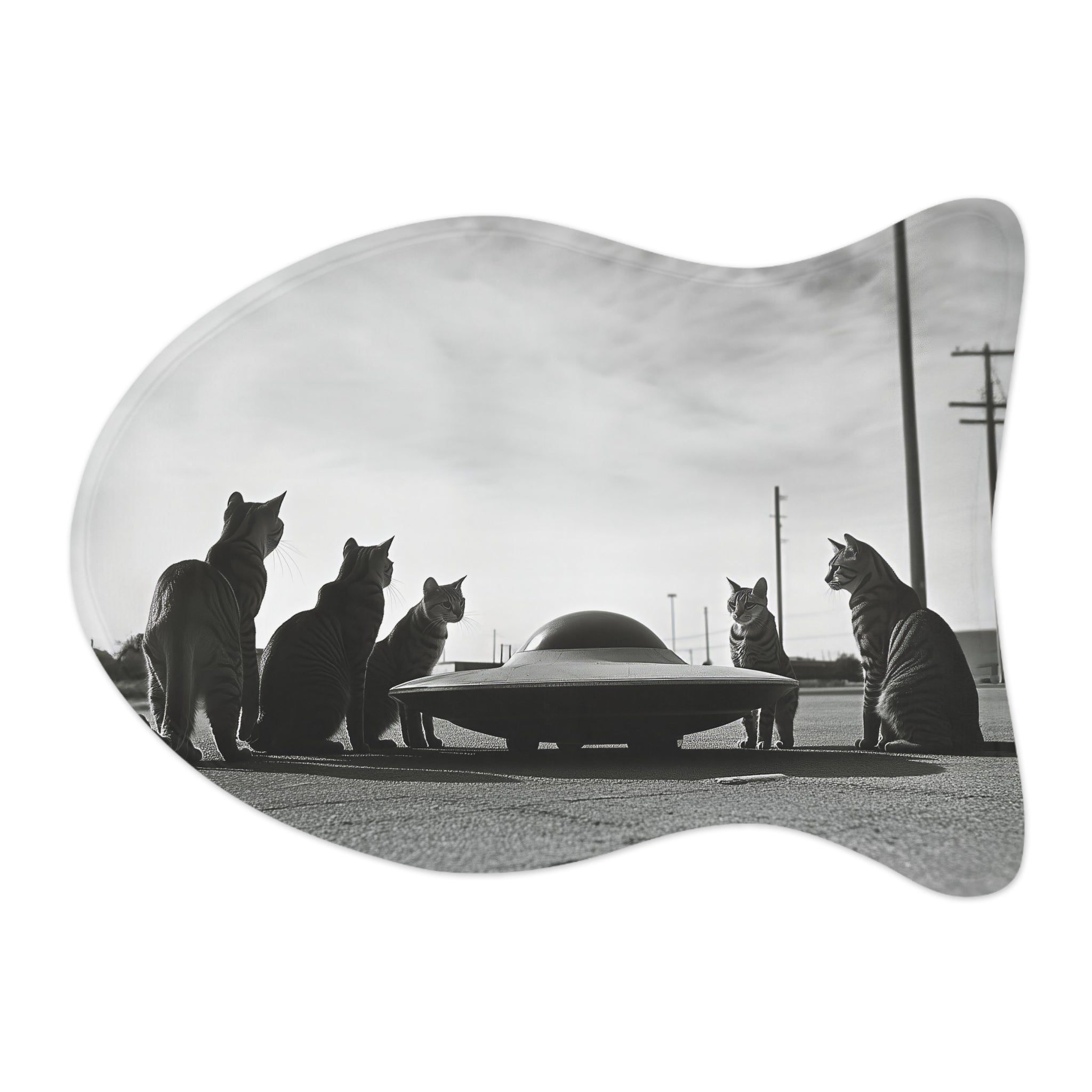 UFO Encounters Feeding Mat
