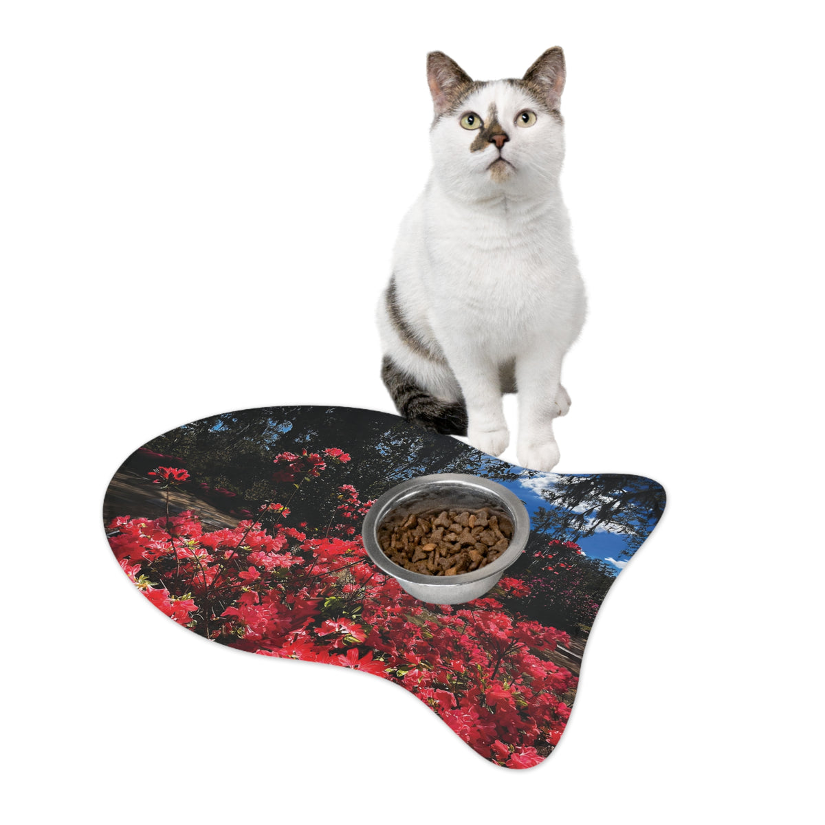 Bonaventure in Bloom Pet Feeding Mat