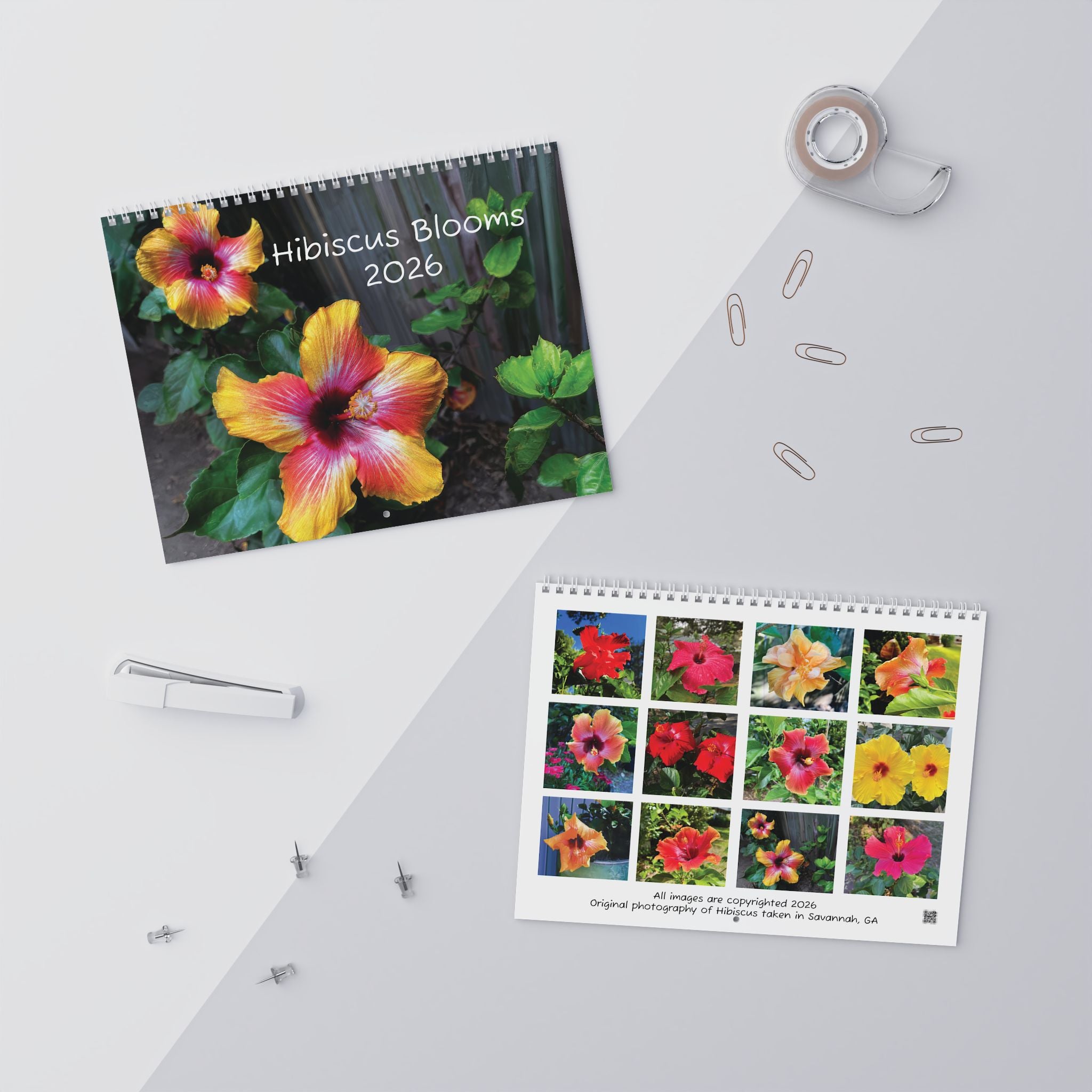 Hibiscus Blooms Calendar