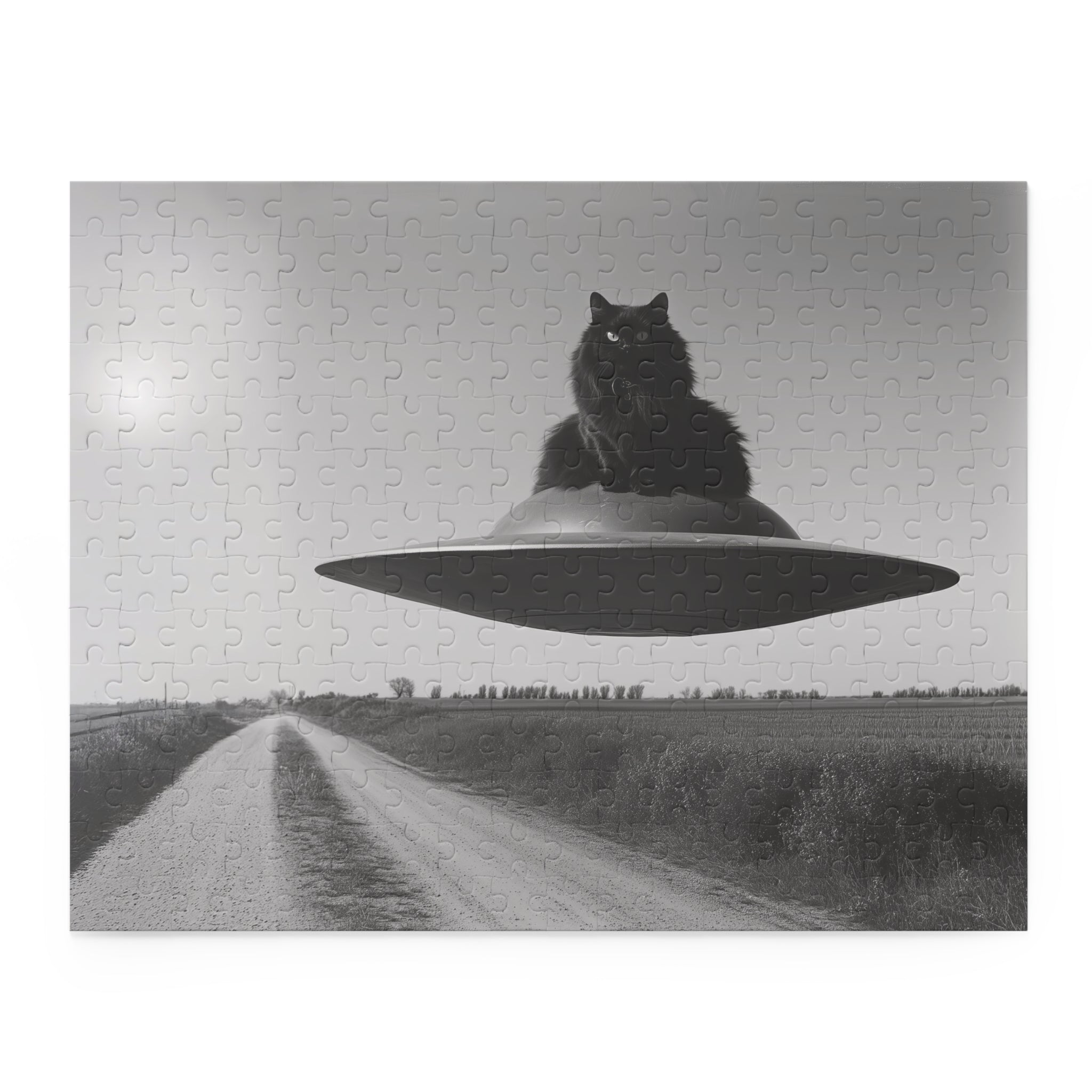Black Cat Flying Saucer