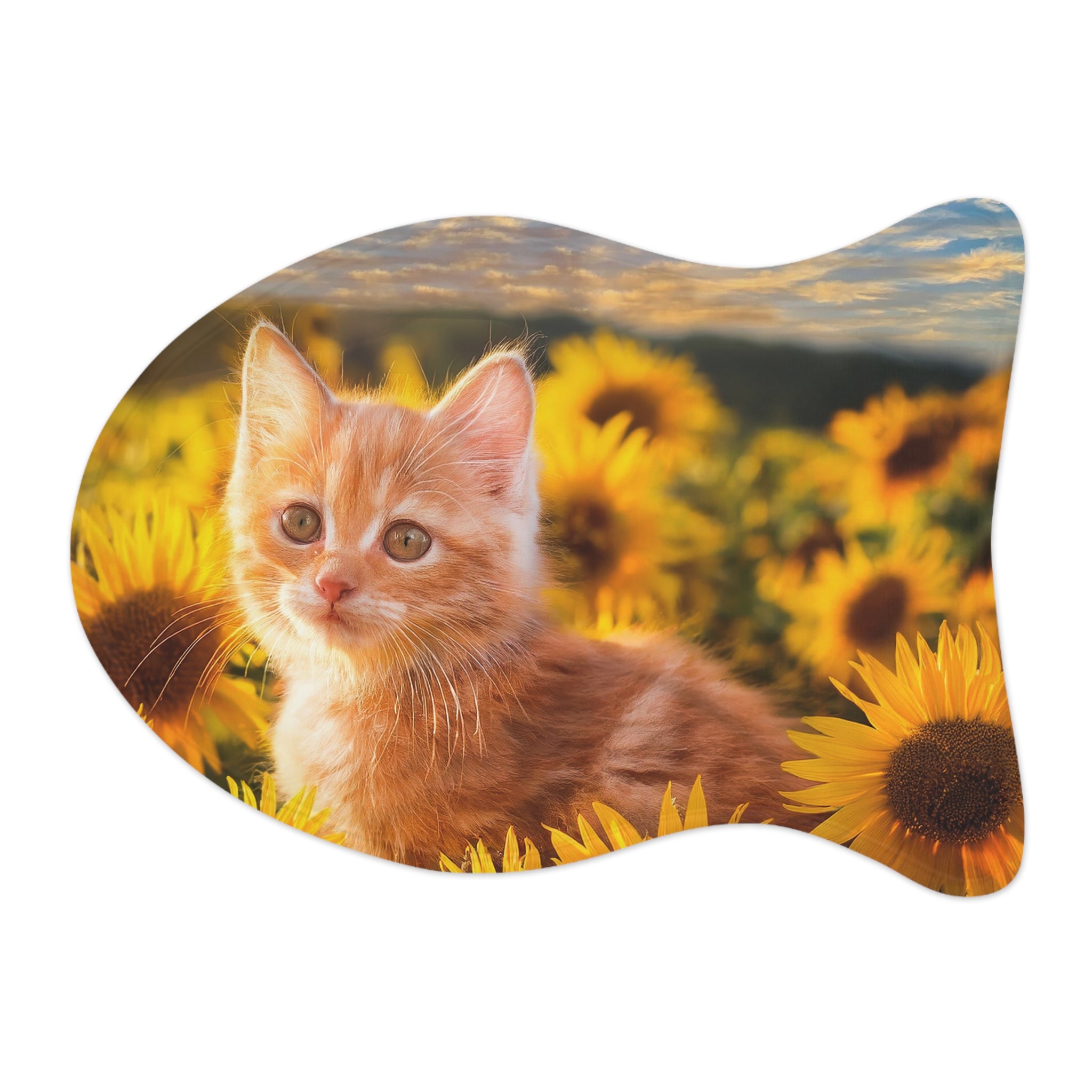 Orange Kitten Feeding Mat